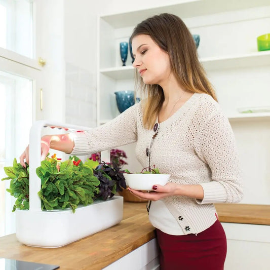 GreenThumbâ„¢ - Intellegent Plant Cultivation System